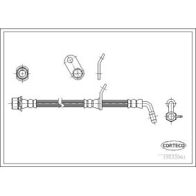 Comprar Latiguillo de freno de CORTECO 19033061 a bajo precio de 22,71 €
