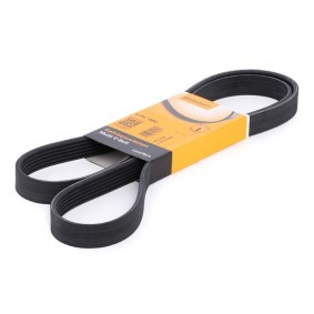 Compre Correia trapezoidal estriada da CONTITECH 6PK1580 a um preço baixo por 15,48 €