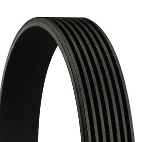 Acquista Cinghia servizi da CONTITECH 7PK1910 a buon mercato per soli 25,20 €