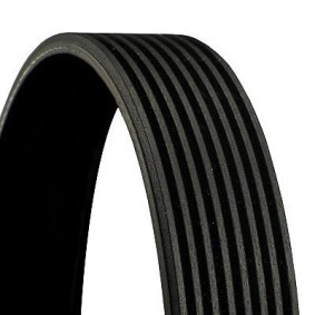 Achetez des Courroie Poly-V CONTITECH 8PK1625 à prix pour 33,40 €