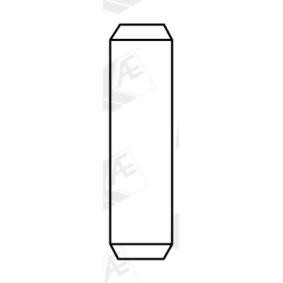 Acquista Guida valvola da AE VAG96021 a buon mercato per soli 2,29 €