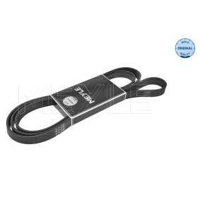 Compre Correia trapezoidal estriada da MEYLE 050 006 2245 a um preço baixo por 21,13 €