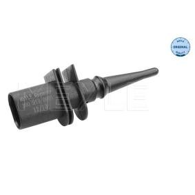 Außentemperatursensor 300 919 0001