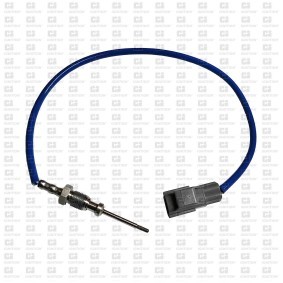 Compre Sensor, temperatura dos gases de escape da QUINTON HAZELL XEPS255 a um preço baixo por 168,03 €