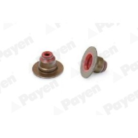 Acquista Paraolio valvole da PAYEN PA6135 a buon mercato per soli 1,82 €