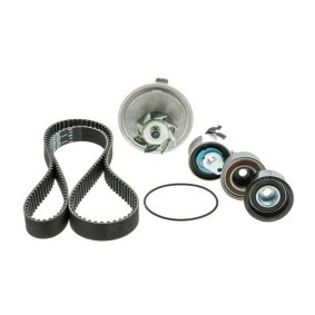 Acquista Kit cinghia distribuzione, pompa acqua da AISIN TKPS-7043 a buon mercato per soli 140,24 €