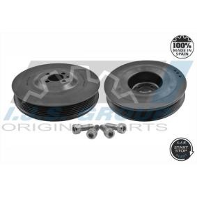 Achetez des Poulie damper (vilebrequin) IJS GROUP 17-1017 à prix pour 67,66 €