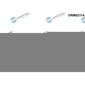 Acquista Guarnizione collettore scarico da DR.MOTOR AUTOMOTIVE DRM02114 a buon mercato per soli 16,93 €