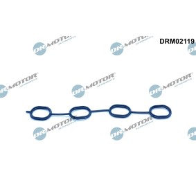 Acquista Guarnizione, Collettore aspirazione da DR.MOTOR AUTOMOTIVE DRM02119 a buon mercato per soli 12,89 €