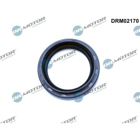 Wellendichtring, Differential DRM02170