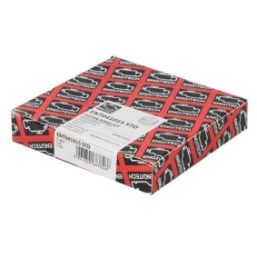 Acquista Kit fasce elastiche da ENGITECH ENT041015 STD a buon mercato per soli 21,73 €