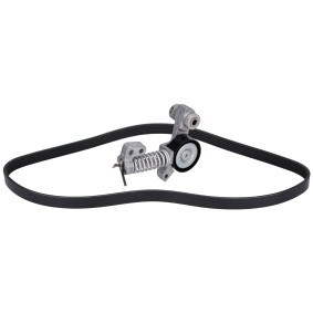 Acquista Kit Cinghie Poly-V da FEBI BILSTEIN 187696 a buon mercato per soli 82,84 €