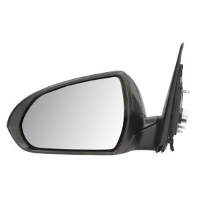 Compre Espelho retrovisor da BLIC 5402-20-1729310P a um preço baixo por 199,11 €