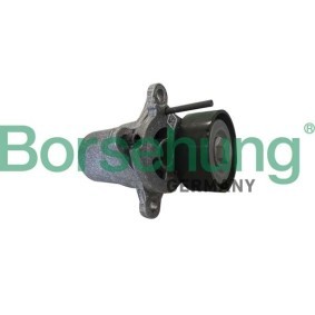 Acquista Tenditore cinghia servizi da Borsehung B12393 a buon mercato per soli 64,57 €