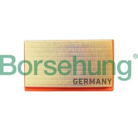 Luftfilter des Herstellers Borsehung - Originalware Artikelnummer: B12396