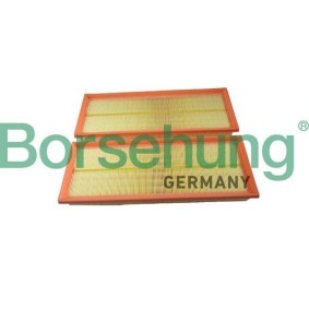 Luftfilter des Herstellers Borsehung - Originalware Artikelnummer: B12398