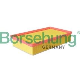 Luftfilter des Herstellers Borsehung - Originalware Artikelnummer: B12406