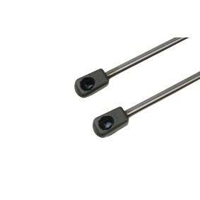 Compre Amortecedor da mala da FAST FT00207K a um preço baixo por 16,88 €