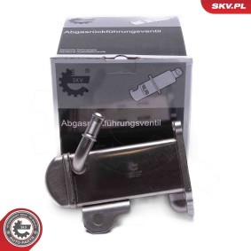 AGR Kühler 14SKV248 PEUGEOT 508 von ESEN SKV