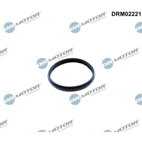 Dichtung, Steuerkettenspanner des Herstellers DR.MOTOR AUTOMOTIVE - Originalware Artikelnummer: DRM02221