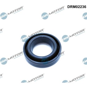 Acquista Anello tenuta, Cavità candela da DR.MOTOR AUTOMOTIVE DRM02236 a buon mercato per soli 3,08 €