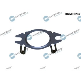 Acquista Guarnizione, Condotto valvola-AGR da DR.MOTOR AUTOMOTIVE DRM02237 a buon mercato per soli 4,40 €