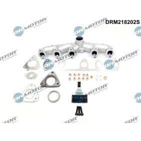 Acquista Collettore di scarico da DR.MOTOR AUTOMOTIVE DRM218202S a buon mercato per soli 194,69 €