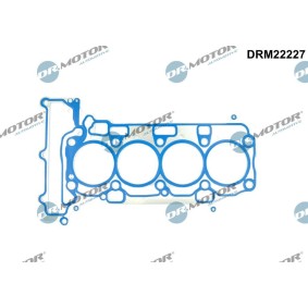 Acquista Guarnizione testata da DR.MOTOR AUTOMOTIVE DRM22227 a buon mercato per soli 84,14 €