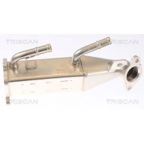 AGR Kühler von TRISCAN 8813 16073