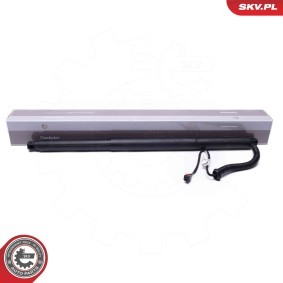 Heckklappe-Motor von ESEN SKV 52SKV959