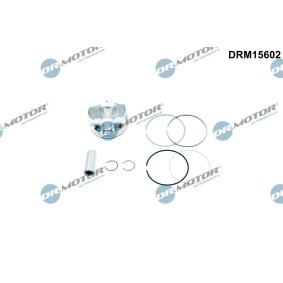 Acquista Pistone motore da DR.MOTOR AUTOMOTIVE DRM15602 a buon mercato per soli 98,37 €