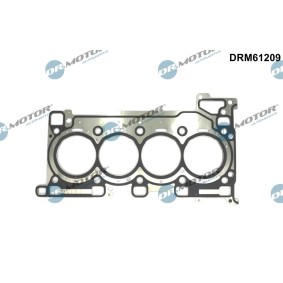Compre Junta, cabeça do motor da DR.MOTOR AUTOMOTIVE DRM61209 a um preço baixo por 165,46 €