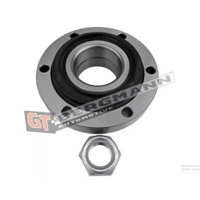 Radlagersatz GT24-145