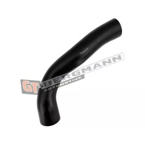 Acquista Flessibile aria alimentazione da GT-BERGMANN GT52-695 a buon mercato per soli 32,43 €