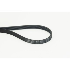 Compre Correia trapezoidal estriada da CONTITECH 5PK775 ELAST a um preço baixo por 9,72 €