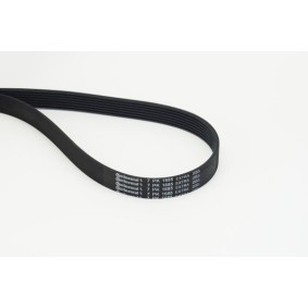 Achetez des Courroie Poly-V CONTITECH 7PK1685 EXTRA à prix pour 27,66 €