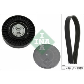 Acquista Kit Cinghie Poly-V da INA 529 0575 10 a buon mercato per soli 39,54 €