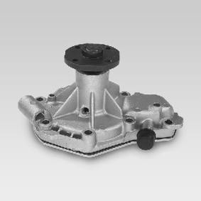 Wasserpumpe von HEPU P915