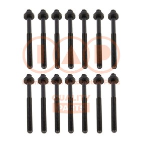 Zylinderkopfschraubensatz von IAP QUALITY PARTS