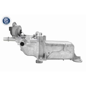 AGR Kühler V40-63-0028 FIAT TALENTO von VEMO