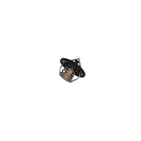 Achetez des Thermostat d'eau KAMOKA 7710230 à prix pour 13,32 €