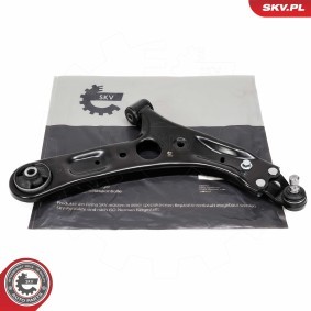 Compre Braço de suspensão da ESEN SKV 69SKV058 a um preço baixo por 63,99 €