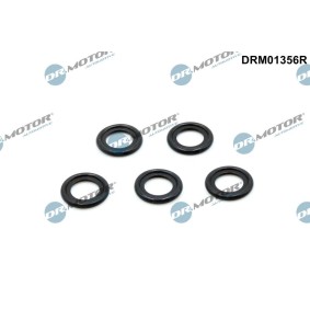 Kjøp Tetningsring, oljeplugg av DR.MOTOR AUTOMOTIVE DRM01356R til den lave prisen 117,89 NOK