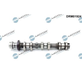 Acquista Albero a camme da DR.MOTOR AUTOMOTIVE DRM01924 a buon mercato per soli 226,97 €