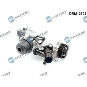 Compre Bomba de água da DR.MOTOR AUTOMOTIVE DRM12703 a um preço baixo por 248,66 €