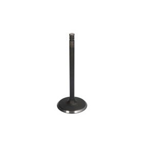 Compre Válvula de entrada da DNJ ENGINE COMPONENTS IV1160 a um preço baixo por 26,52 €