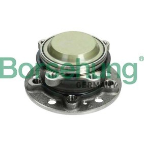 Radlager des Herstellers Borsehung - Originalware Artikelnummer: B11714