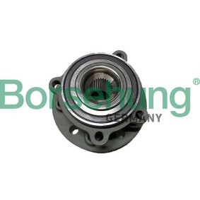 Radlager des Herstellers Borsehung - Originalware Artikelnummer: B11717