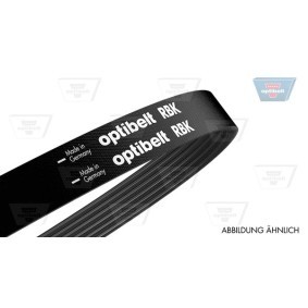 Compre Correia trapezoidal estriada da OPTIBELT 6 PK 1025 a um preço baixo por 30,30 €