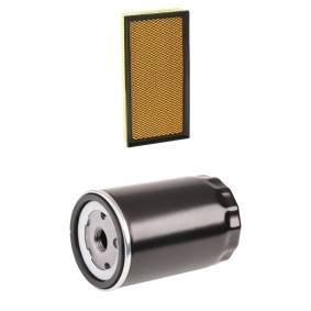 Köp Filtersats av RIDEX PLUS 4055F1317P till det låga priset 236,97 kr